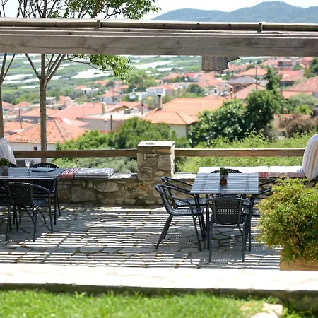 Olive Hill *
