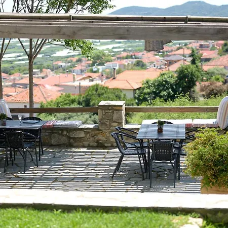 Olive Hill *