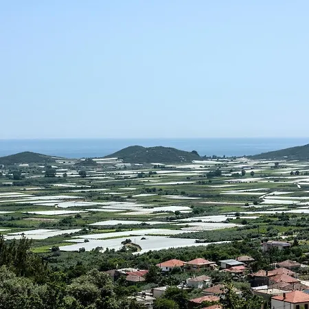 Apartmán Olive Hill