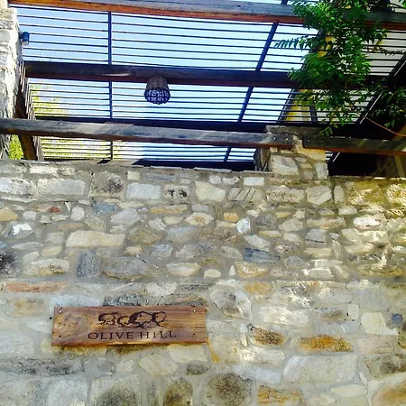 Διαμέρισμα Olive Hill *