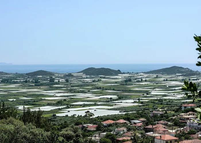 Appartement Olive Hill