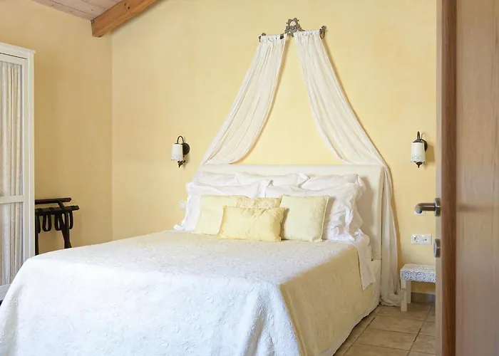 Olive Hill Elevtheraí